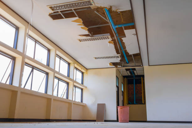Best Water damage cleanup near me  in Ramona, CA