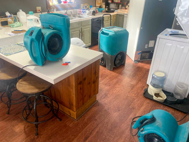 Best 24-hour water damage restoration  in Ramona, CA