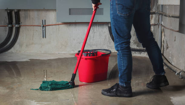 Best Residential water damage restoration  in Ramona, CA