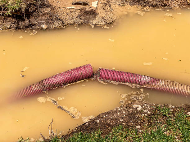 Best Water damage contractors near me  in Ramona, CA