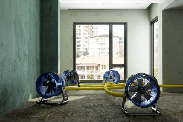 Best Basement water damage restoration  in Ramona, CA